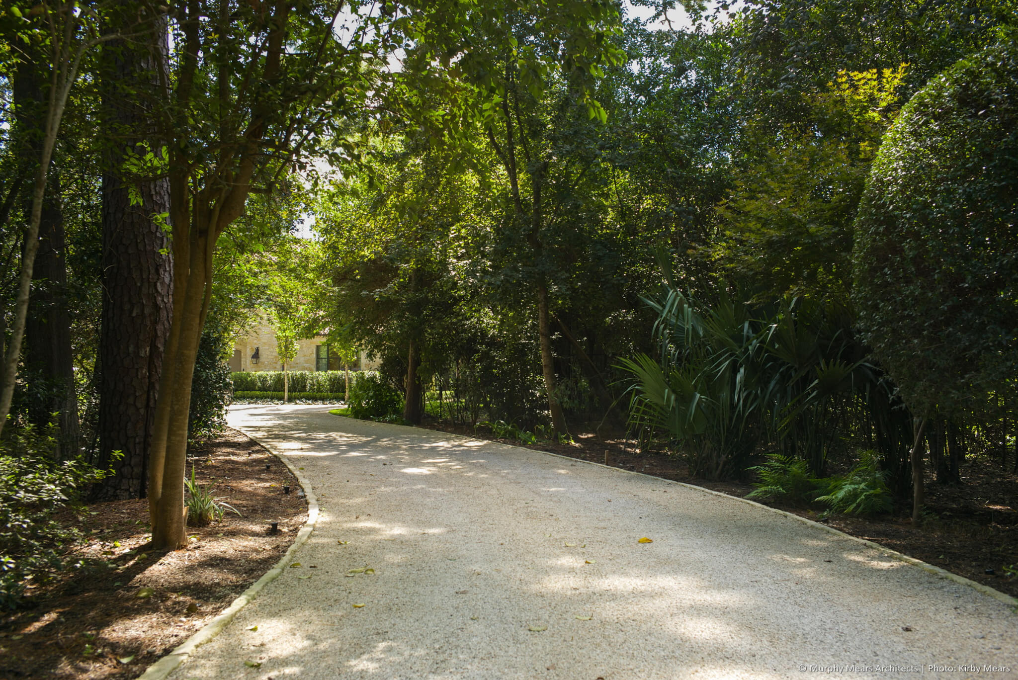 Gravel driveway winding through the wooded site.
